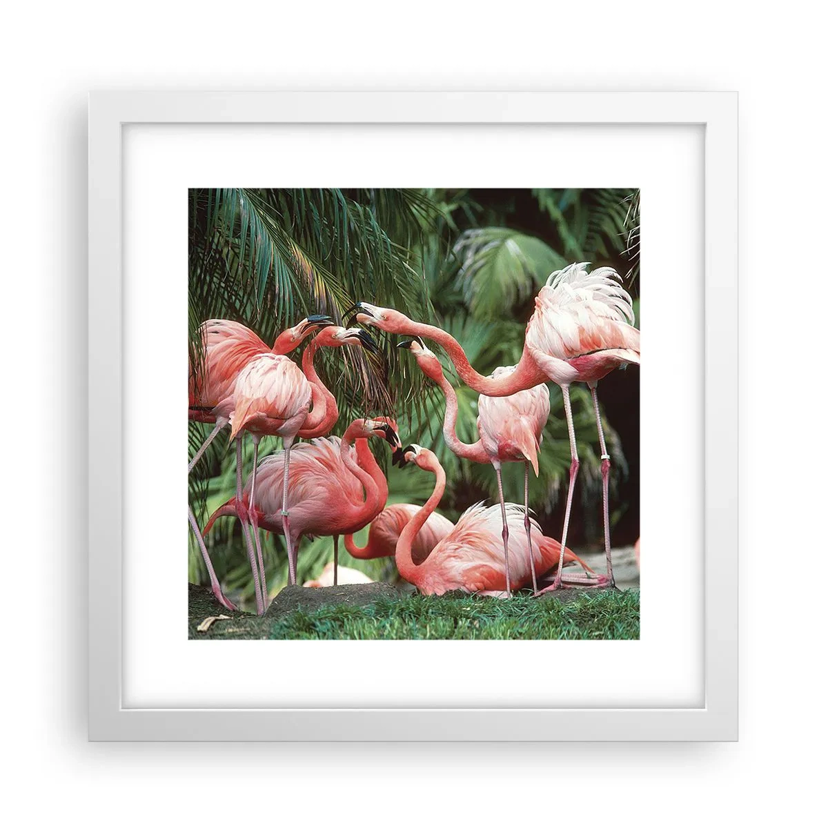 Poszter fekete keretben - Délutáni pletyka - 30x30 cm