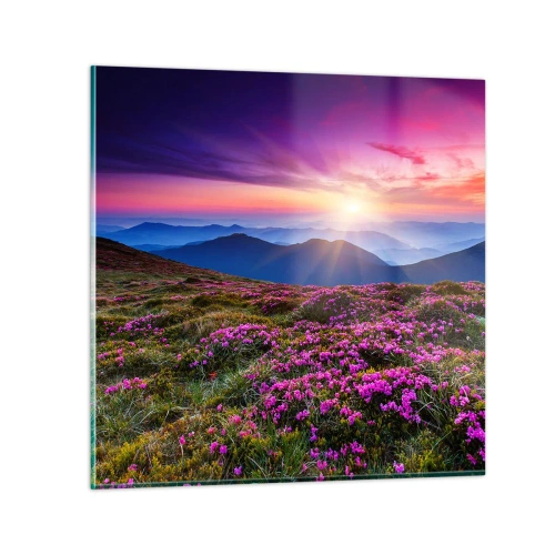 Üveg kép - A gyógynövények friss fürtjei illatoztak a mezőkről - 70x70 cm