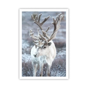 Poszter - Portré a napon - 70x100 cm