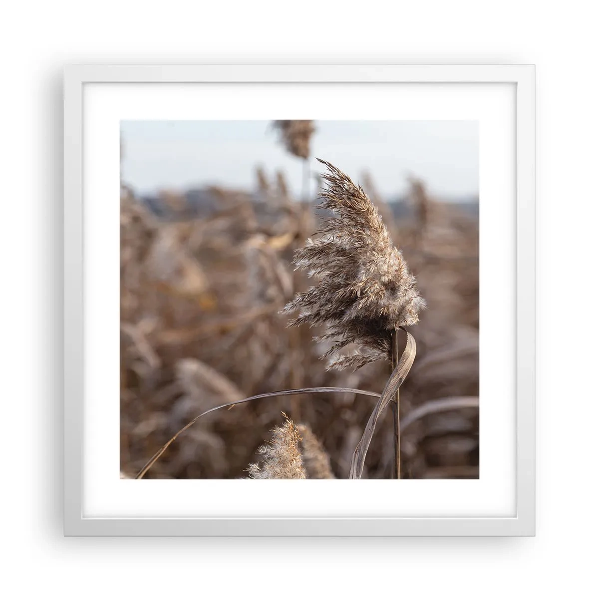 Poszter fekete keretben - Ideje elrepülni a széllel - 40x40 cm