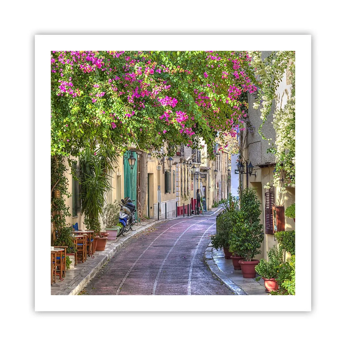 Poszter - Virágzó sikátor - 60x60 cm