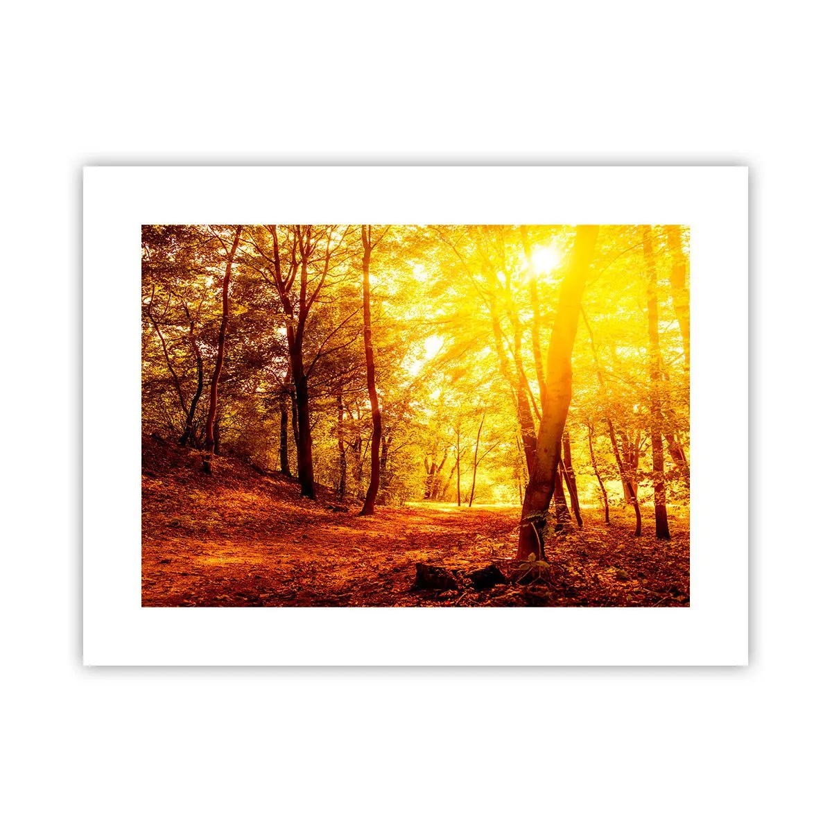 Poszter - Az arany tisztás felé - 40x30 cm