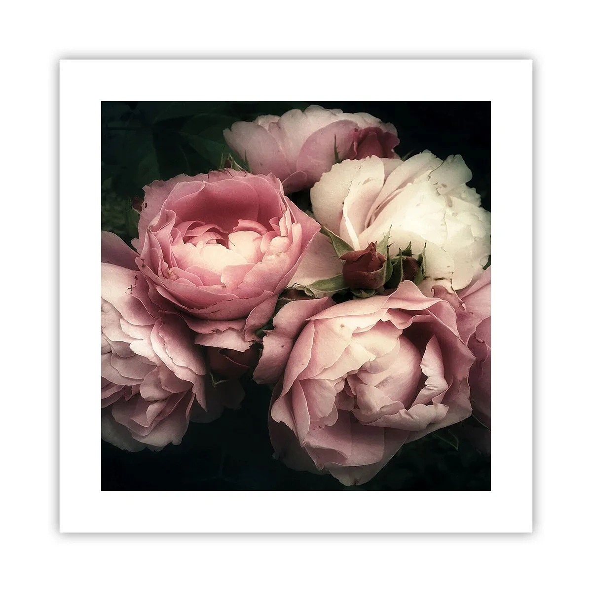 Poszter - Belle epoque varázs - 40x40 cm