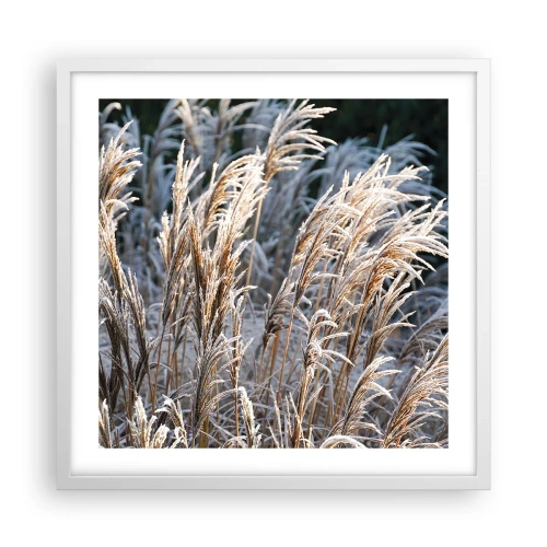 Poszter fekete keretben - Zúzmarába öltözött - 50x50 cm