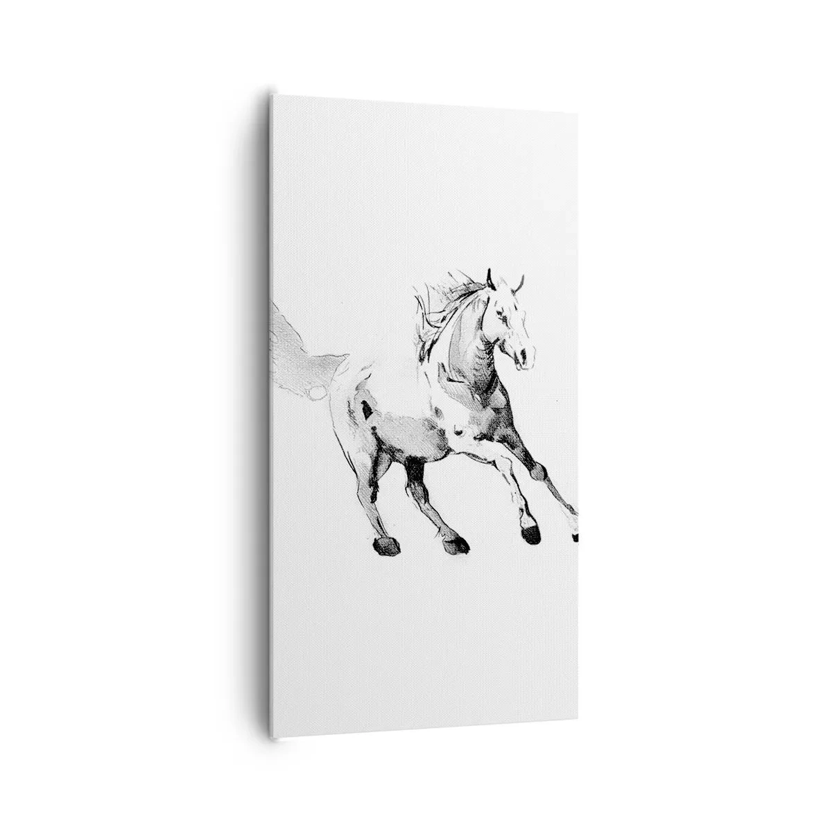 Vászonkép - Megszelídíthetetlen lélek - 65x120 cm