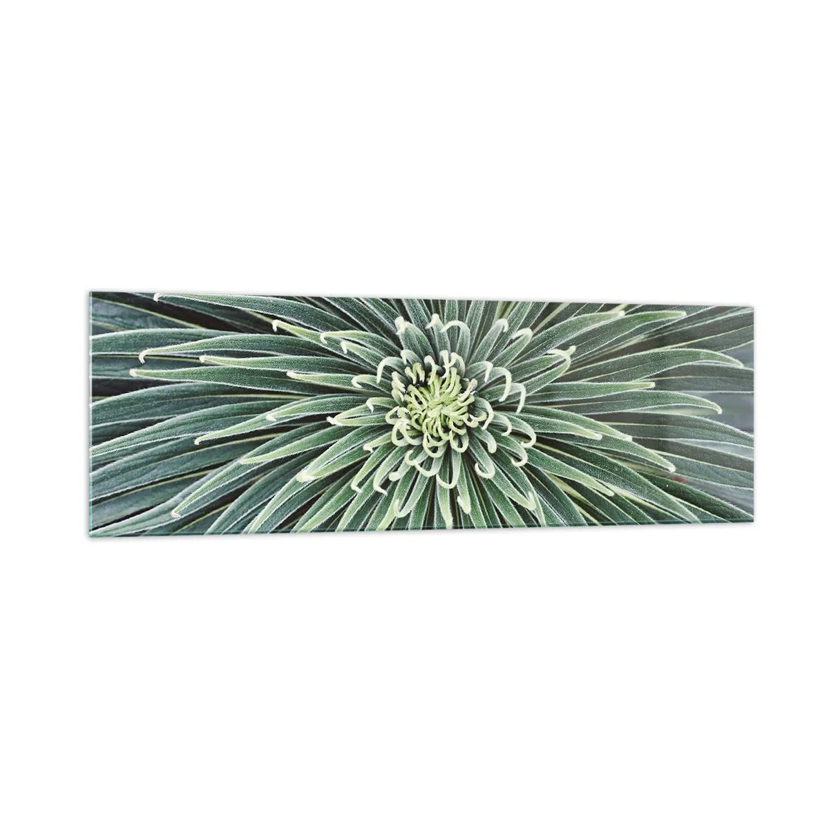 Üveg kép - Csillag születik - 160x50 cm