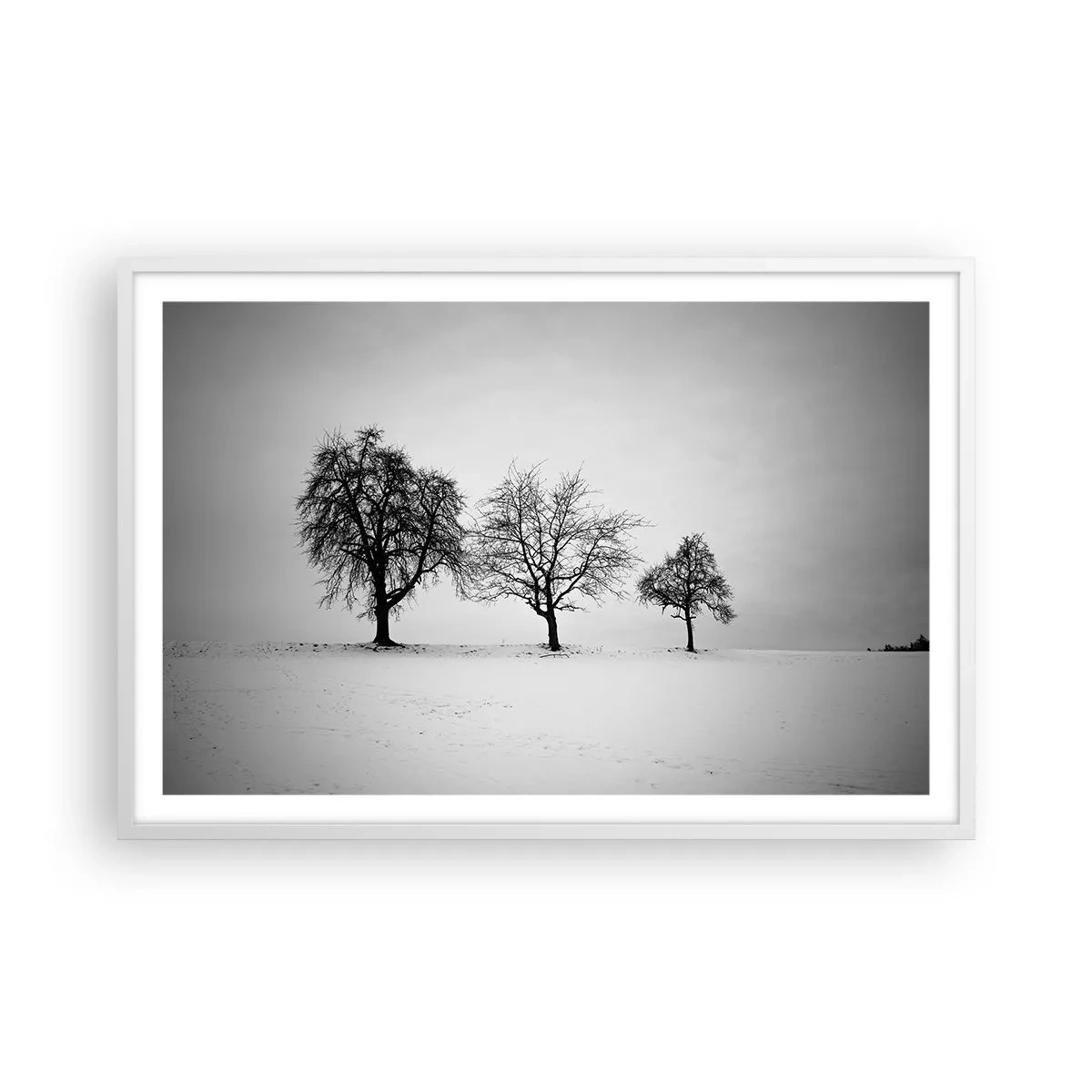 Poszter fekete keretben - Miről álmodoznak? - 91x61 cm