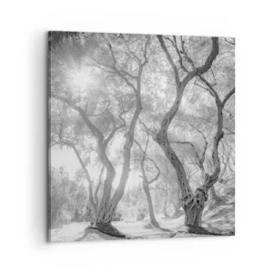 Vászonkép - Egy olajfaligetben - 60x60 cm