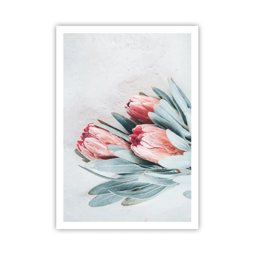 Poszter - Szégyellve saját szépségüket - 70x100 cm