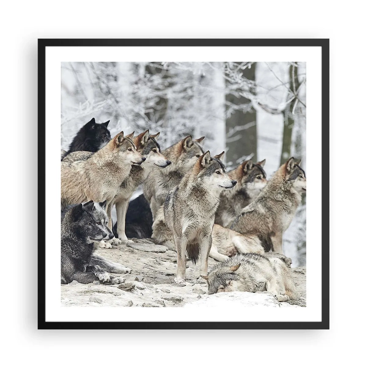 Poszter fehér keretben - Család és barátok - 60x60 cm