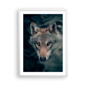 Poszter fekete keretben - Vadász - 50x70 cm