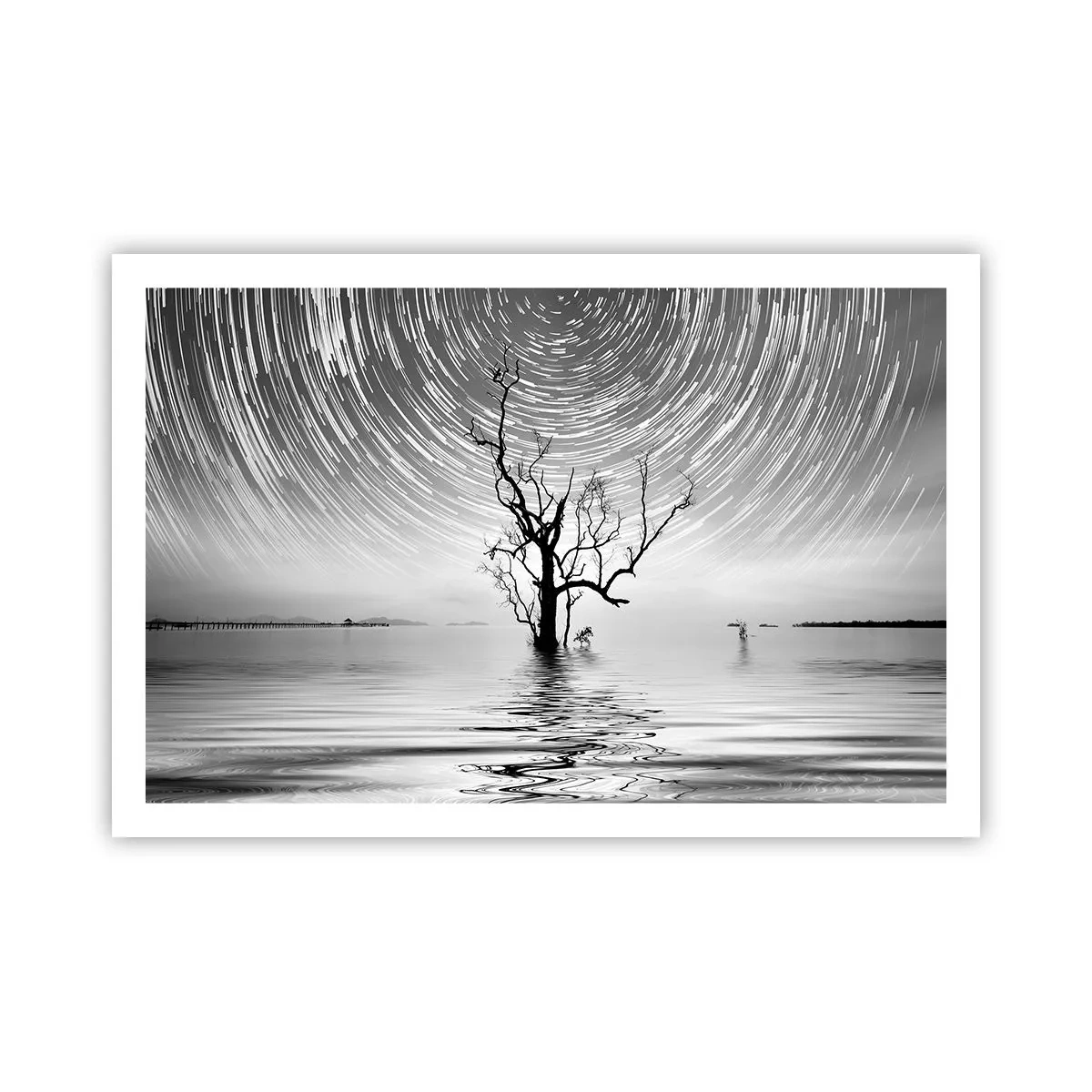 Poszter - A természet szimfóniája - 91x61 cm