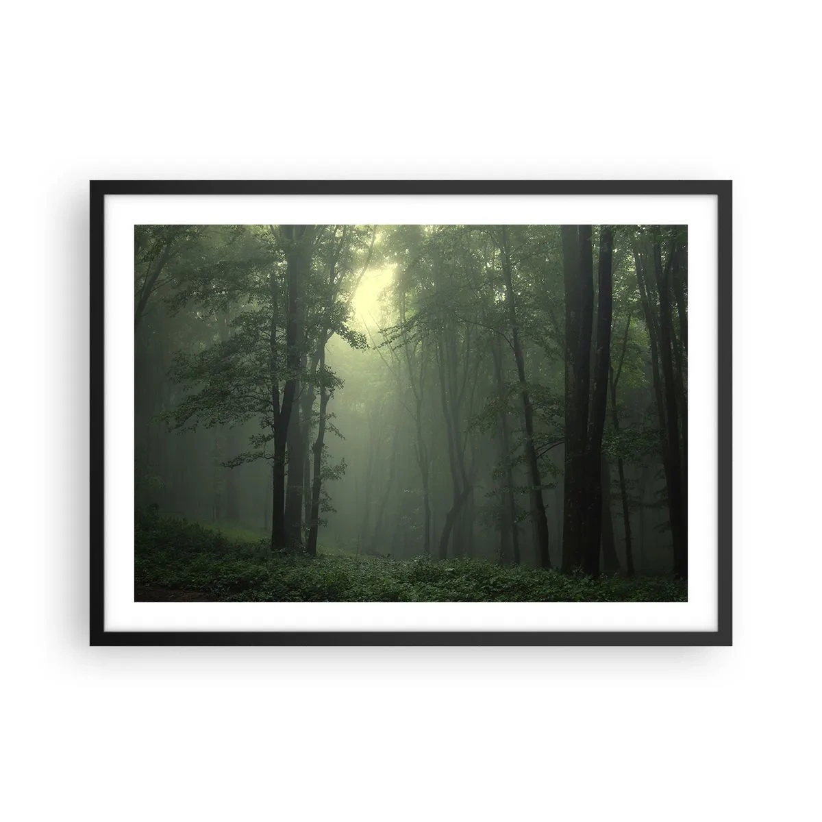 Poszter fehér keretben - Mielőtt felébred - 70x50 cm