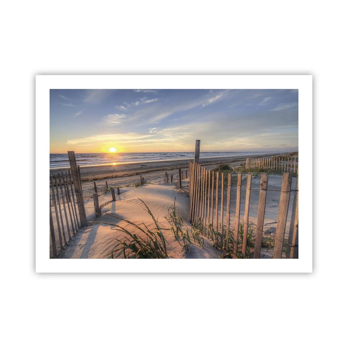 Poszter - A szél ragyogása és árnyéka - 70x50 cm