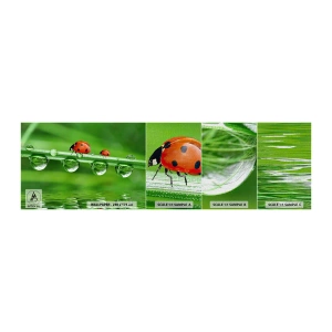 Fotótapéta Minta Premium Canvas - Egész nyáron az úton - Katicabogár, Egy csepp víz, Természet - 100x30 cm