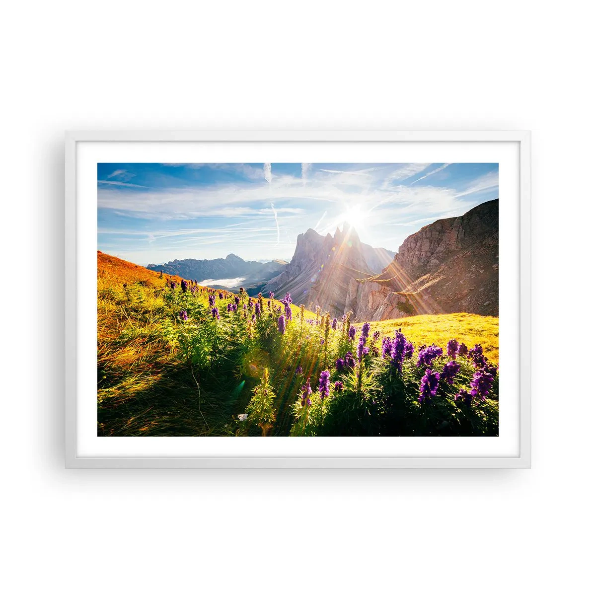 Poszter fekete keretben - A gyógynövények titkos élete - 70x50 cm