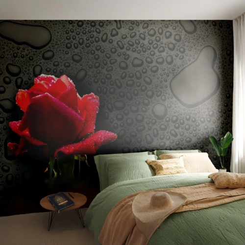 Fotótapéta Premium Canvas - piros és fekete - Virágok, Rózsa, Víz - 350x256 cm