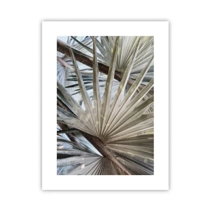 Poszter - Legyező a trópusokon - 30x40 cm