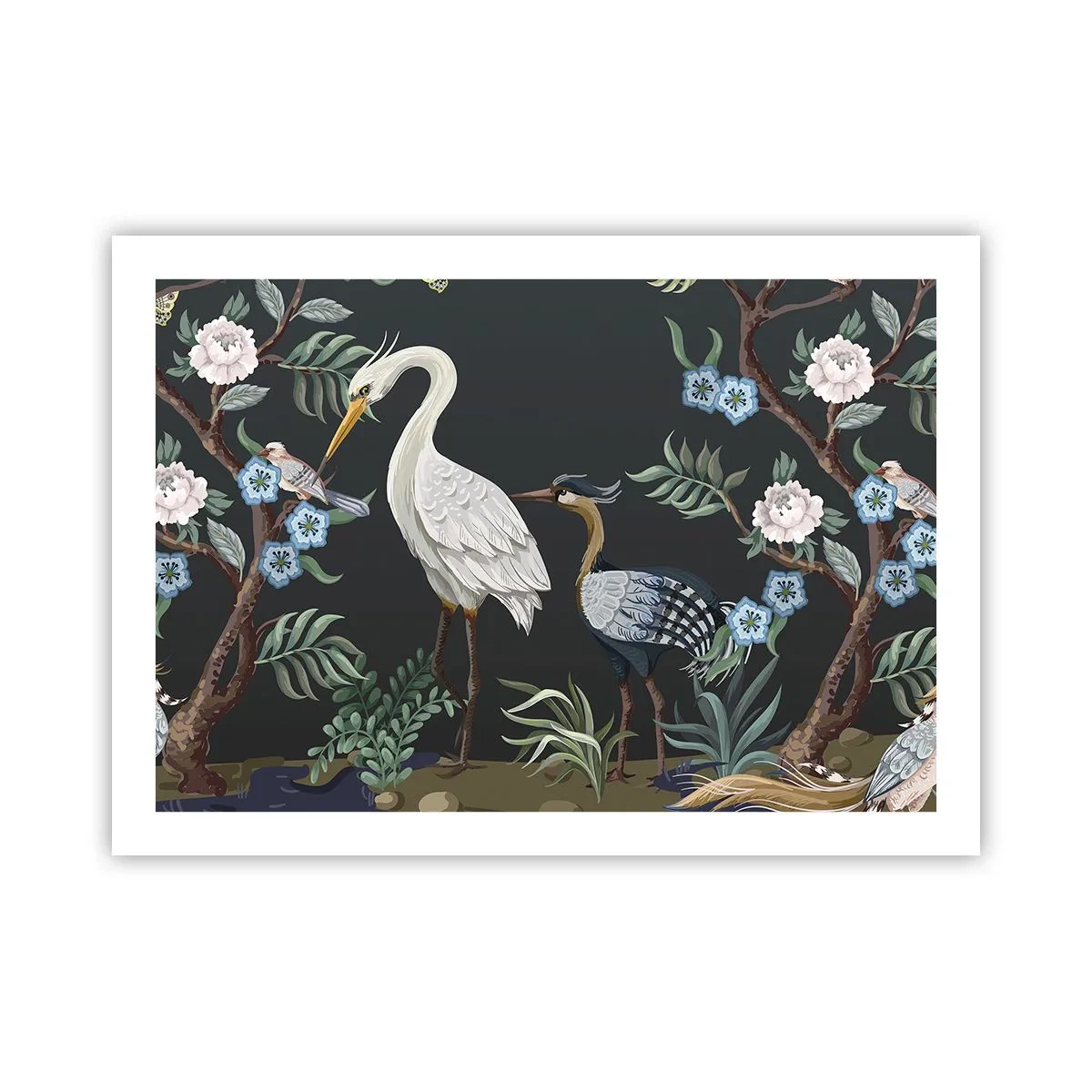 Poszter - Madar parádé - 70x50 cm