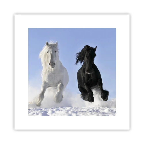 Poszter - Fekete-fehér galopp - 30x30 cm