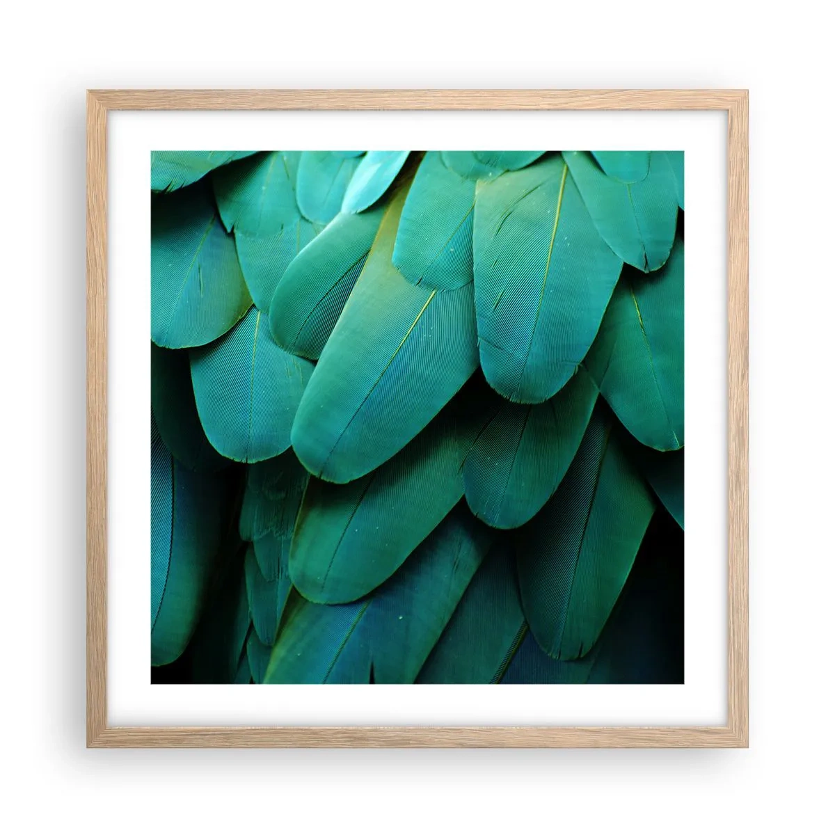 Poszter világos tölgy keretben - A papagájtermészet precizitása - 50x50 cm