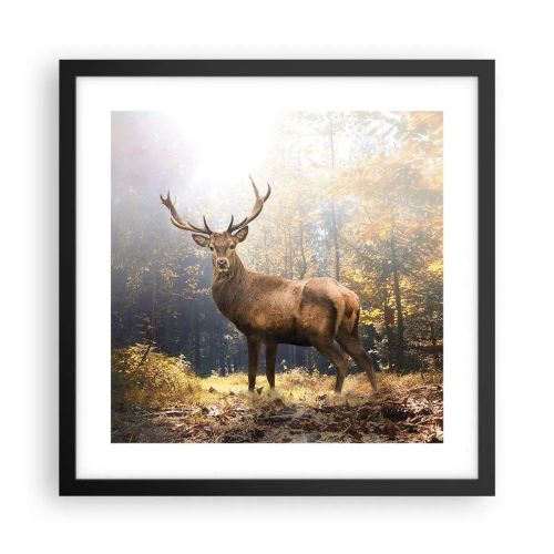 Poszter fehér keretben - Teljes fenségben - 40x40 cm