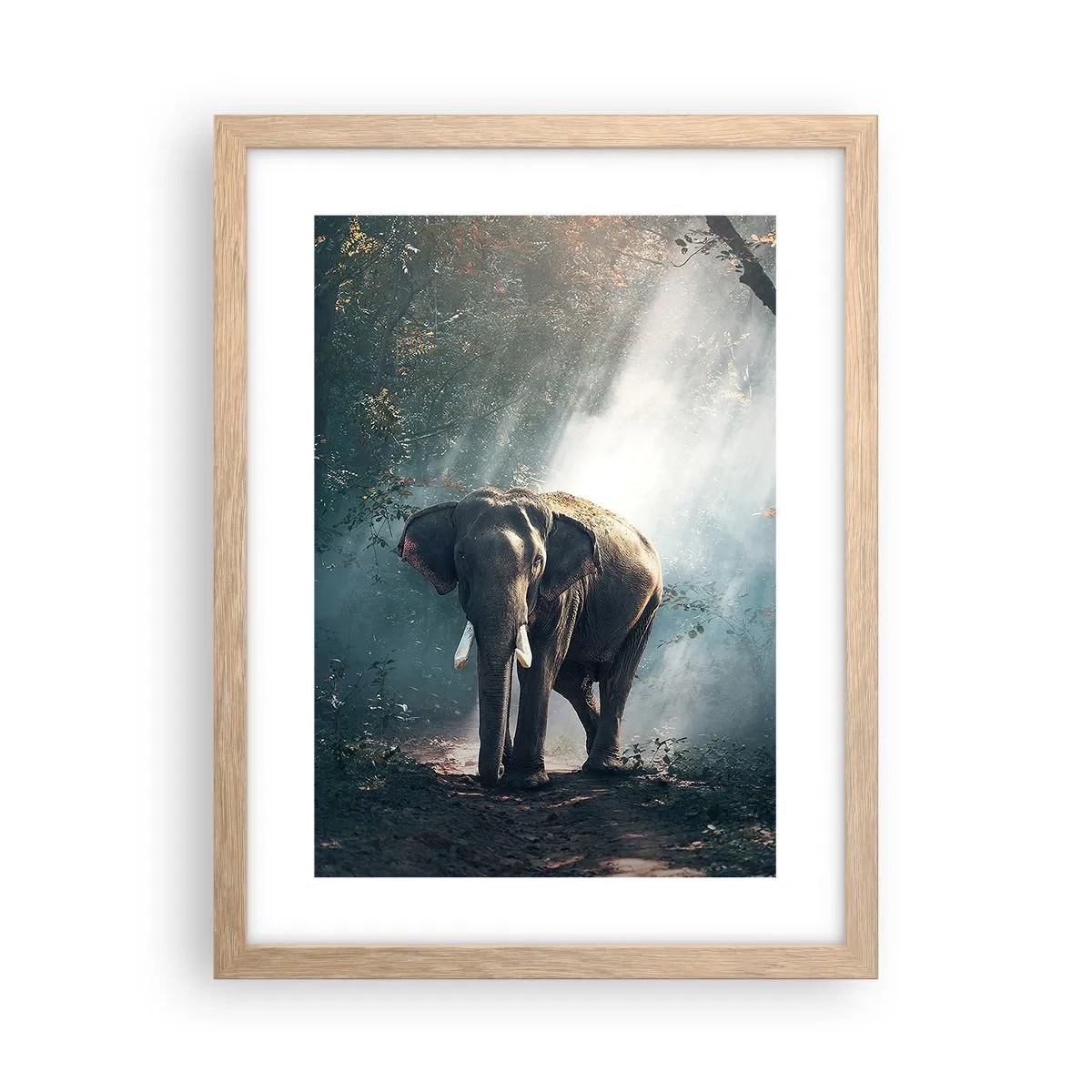 Poszter világos tölgy keretben - Nyugodt séta - 30x40 cm