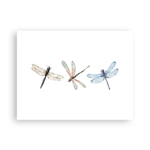 Poszter - Súlytalan szitakötők - 40x30 cm