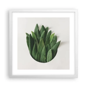 Poszter fekete keretben - Féktelen kíváncsiság - 40x40 cm