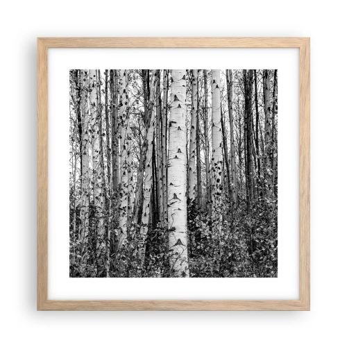 Poszter világos tölgy keretben - Nyírfa oszlopsor - 40x40 cm