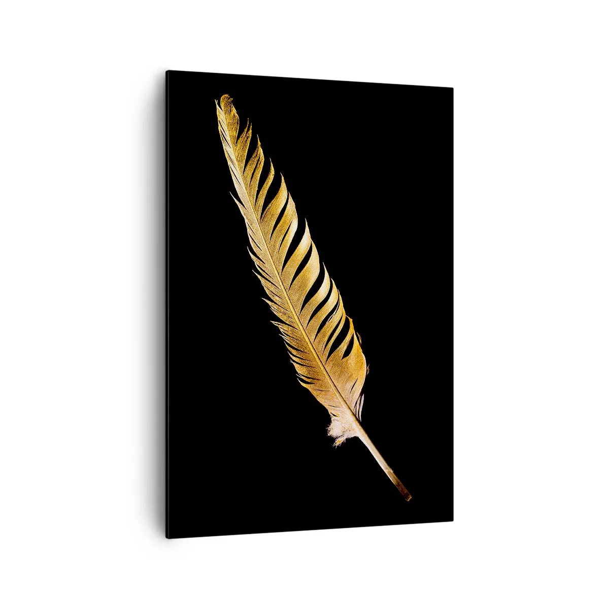Vászonkép - Tökéletes tollal ellátva - 70x100 cm