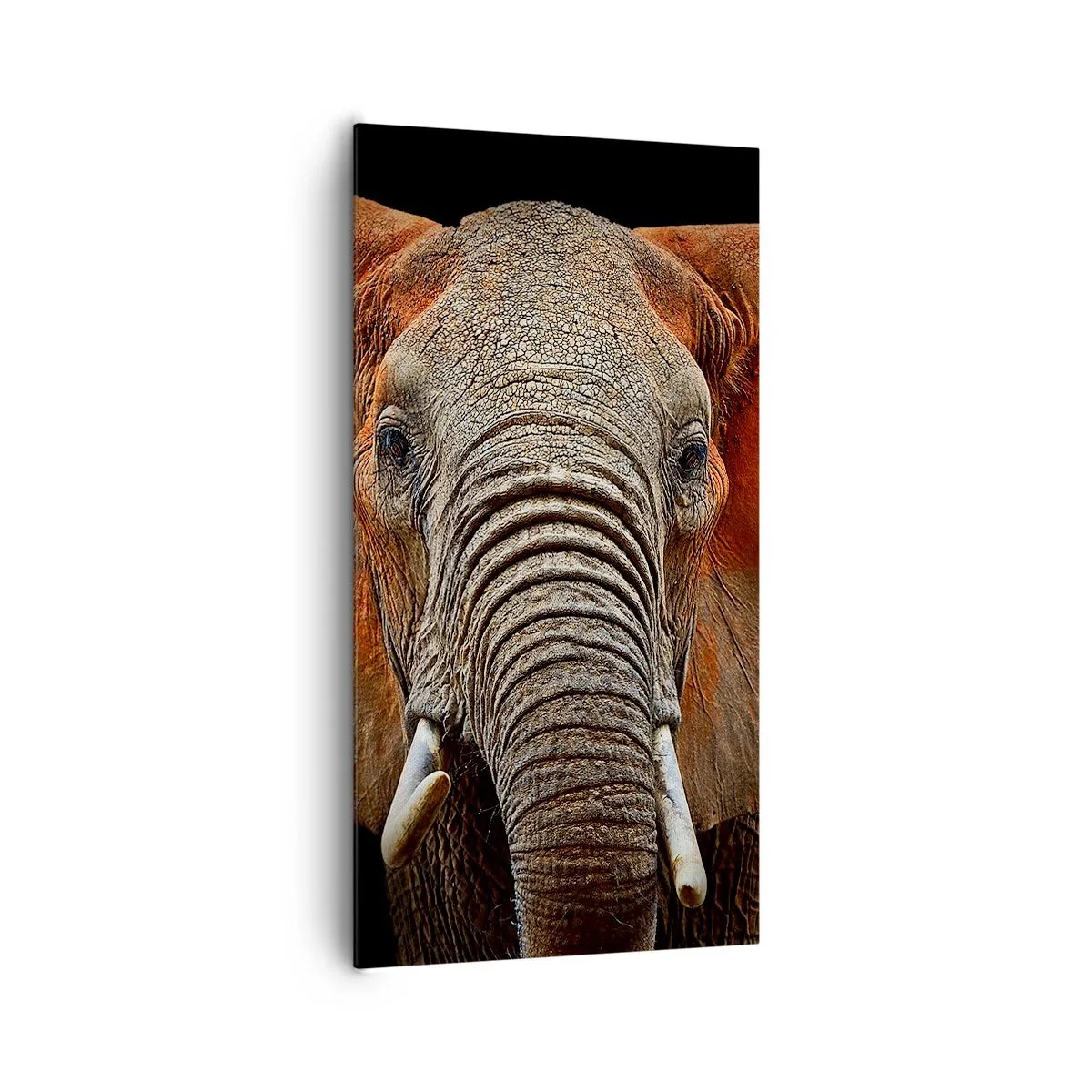 Vászonkép - Én vad vagyok, és te? - 65x120 cm