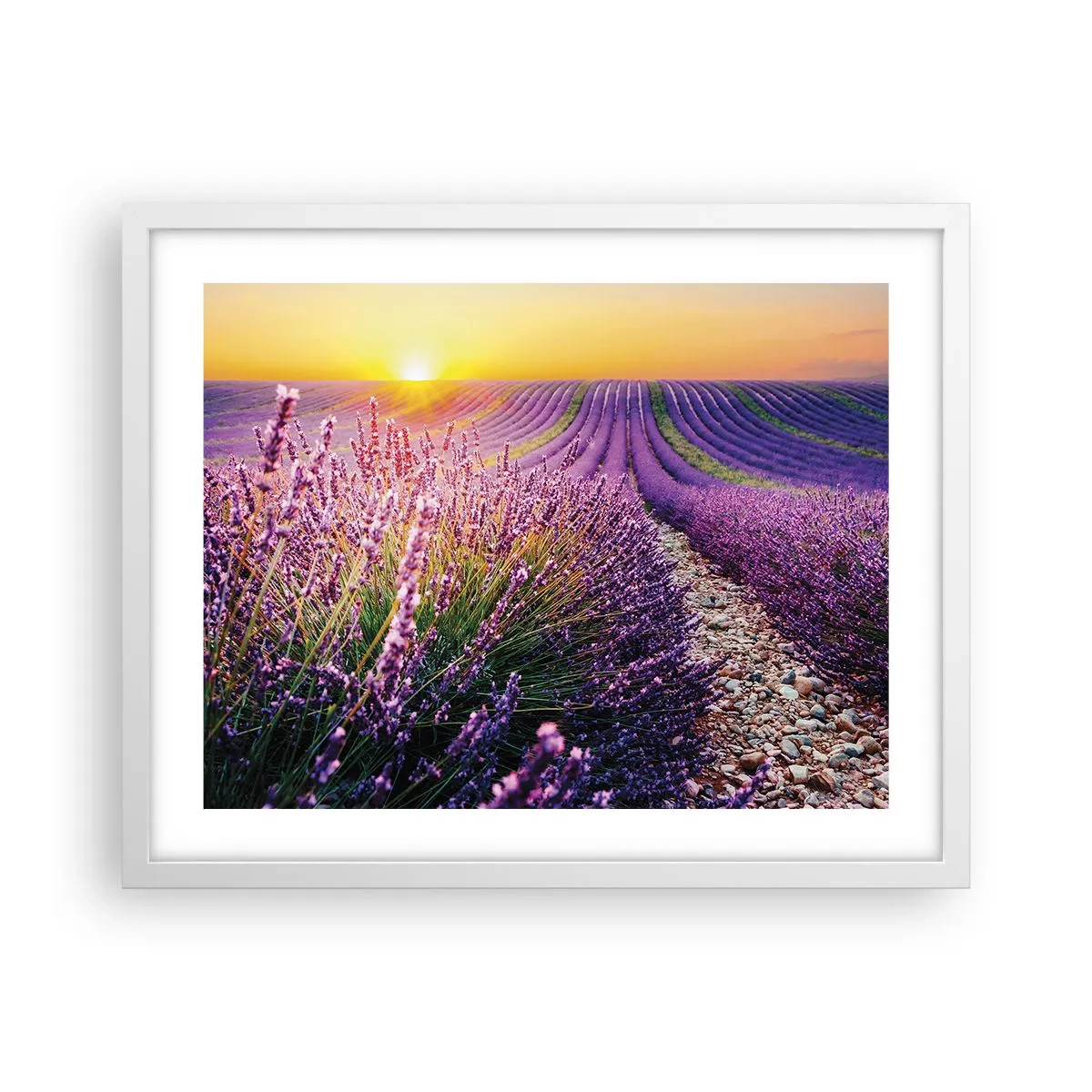 Poszter fekete keretben - Illatos szálak - 50x40 cm