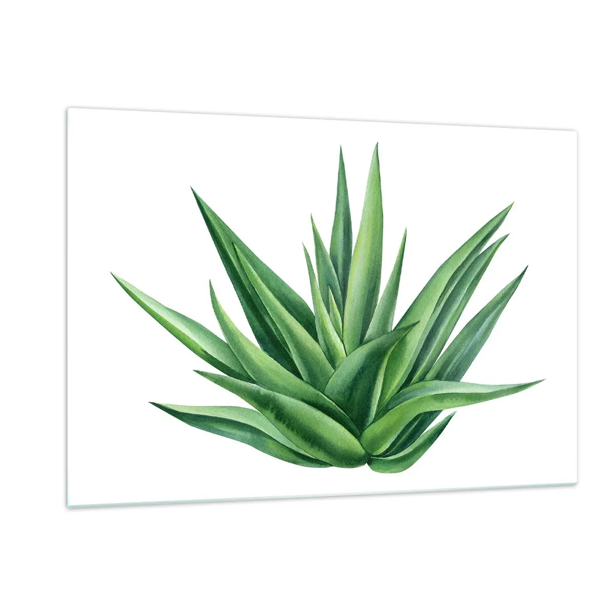 Üveg kép - Zöld - erő - élet - 120x80 cm