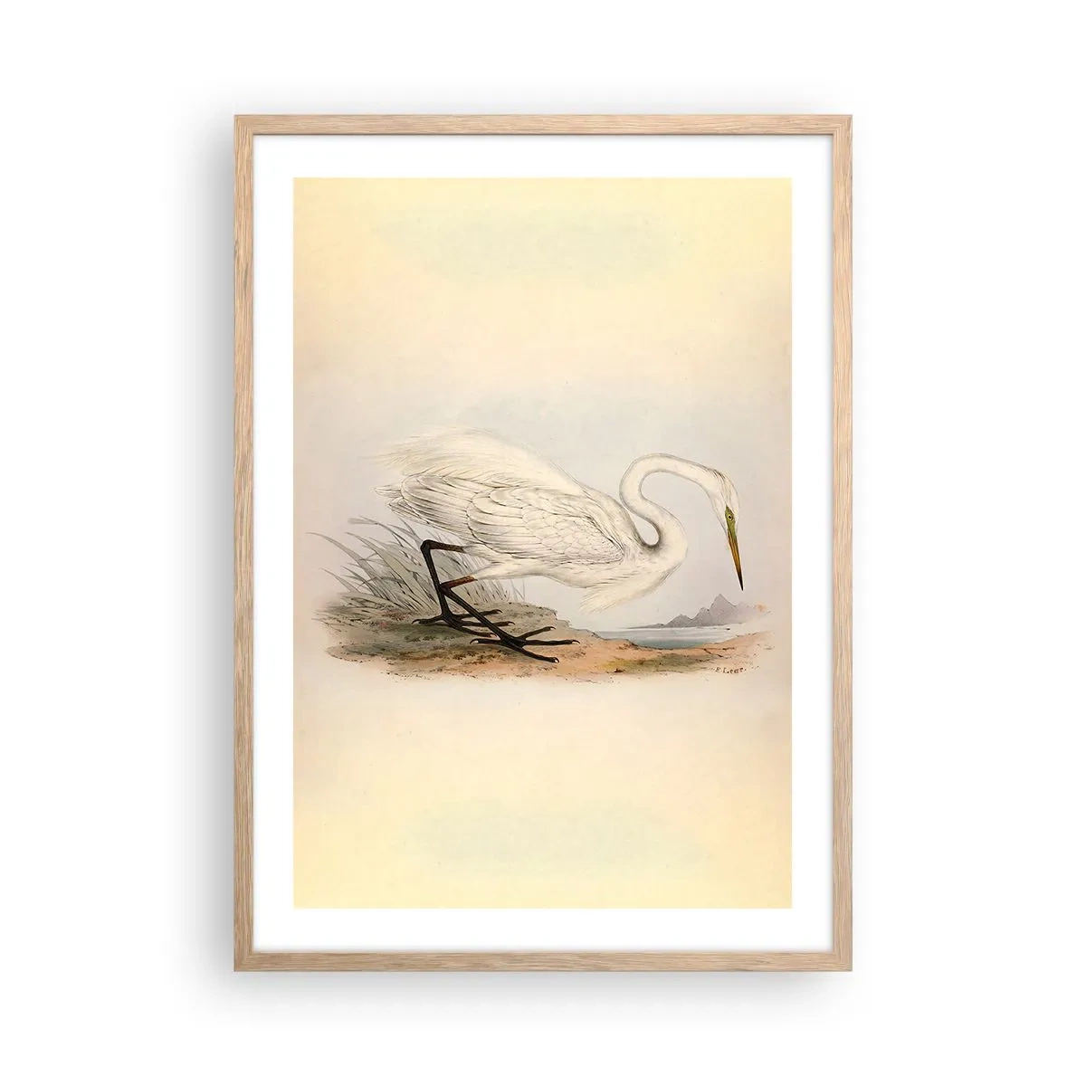 Poszter világos tölgy keretben - Hölgy a nádasban - 50x70 cm
