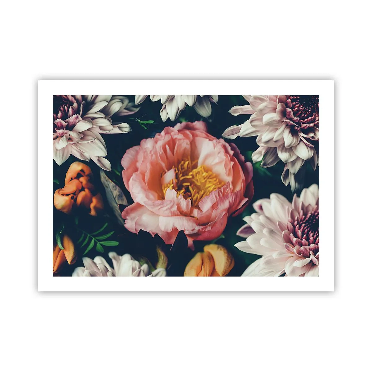 Poszter - Barokk pompával - 70x50 cm