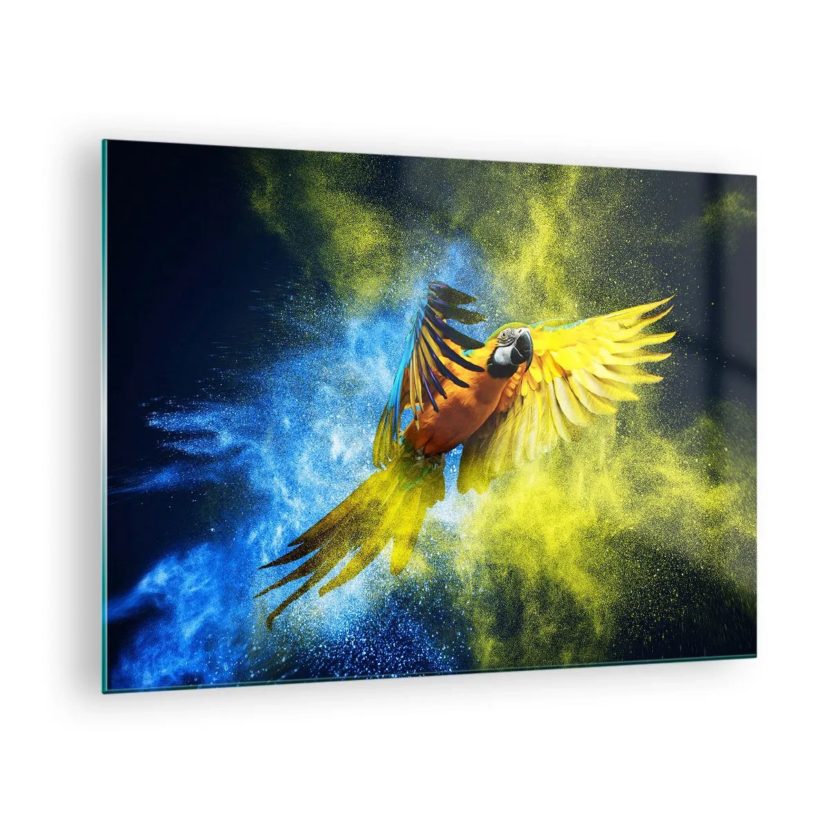 Üveg kép - Egy színes papagáj repülés közben sárga és kék háttér előtt - 70x50cm - A kék és arany porban - Modern fali dekoráció nappalihoz és hálószobához ARTTOR