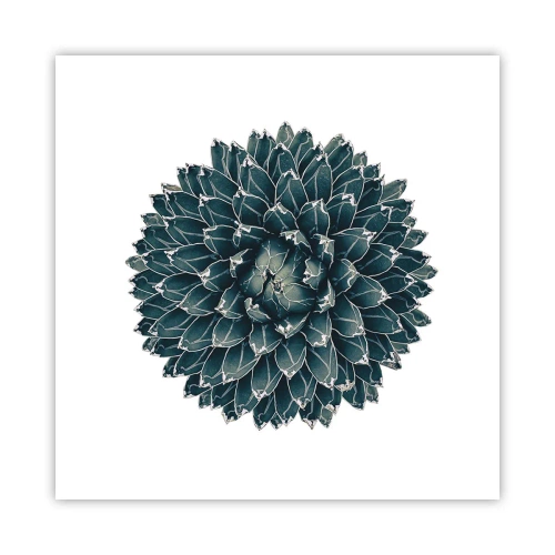 Poszter - A sivatag csillaga - 50x50 cm