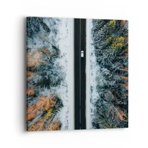 Vászonkép - Átvágni a téli erdőn - 40x40 cm