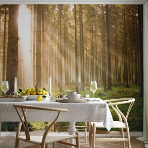 Fotótapéta Premium Sand - Hamarosan megjelennek az álfok - Erdő, A nap sugarai, Természet - 200x140 cm