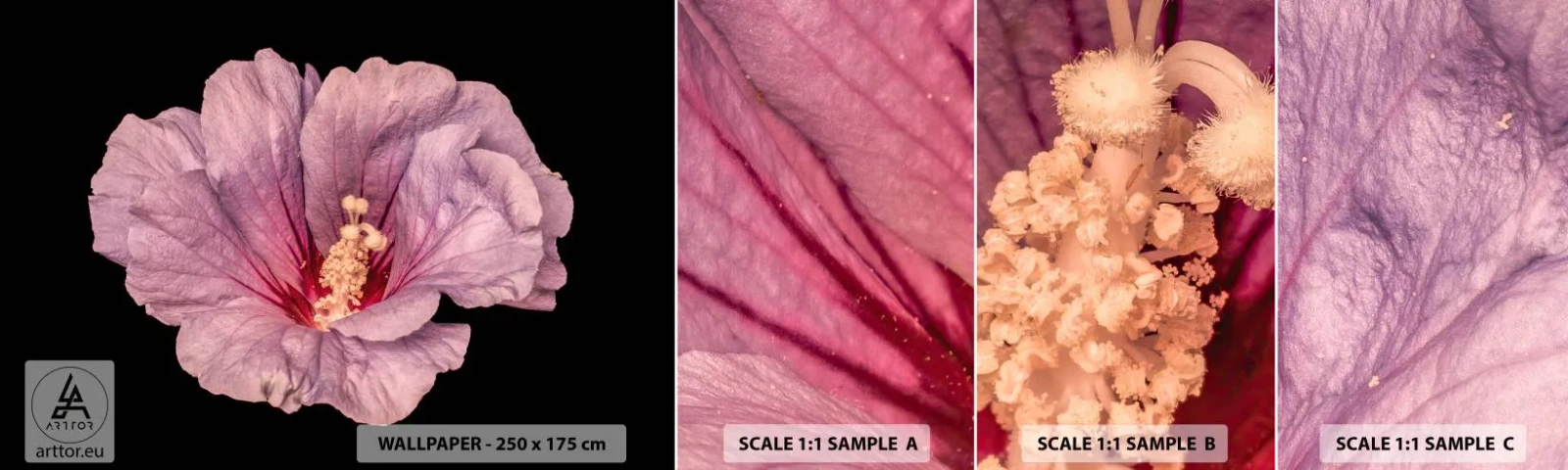 Fotótapéta Minta Öntapadós Deluxe Sticker - Egyenesen a szív felé - Virág, Darab, Grafika - 100x30 cm