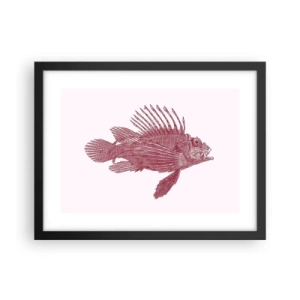 Poszter fehér keretben - Egzotikus vizek lakója - 40x30 cm