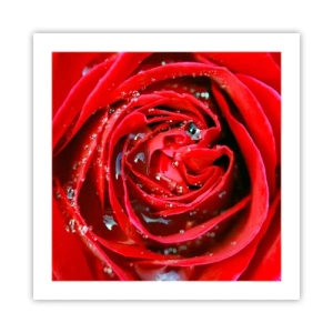 Poszter - A harmatcseppekben - 50x50 cm