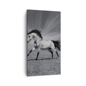 Vászonkép - Megszületett, hogy elképesszen - 45x80 cm