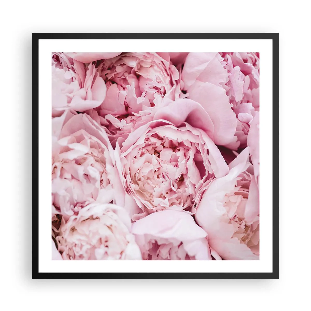 Poszter fehér keretben - Átölelve és illatos - 60x60 cm