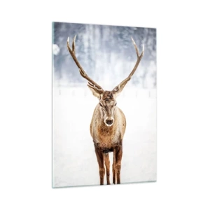 Üveg kép - Egyenesen a hóködből - 50x70 cm