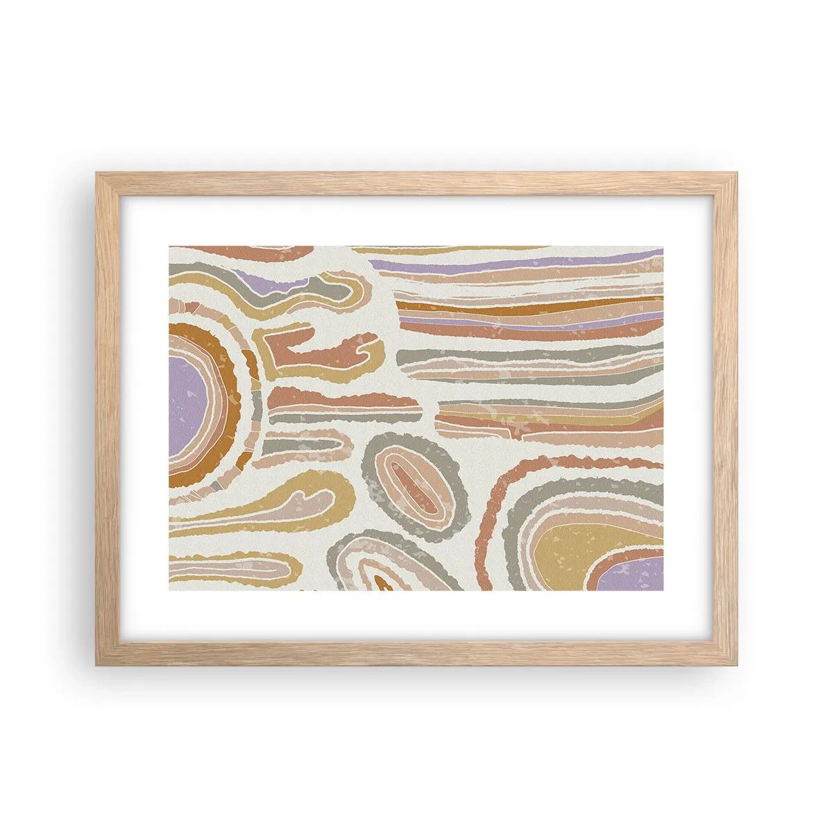 Poszter világos tölgy keretben - Színes keresztmetszetek - 40x30 cm
