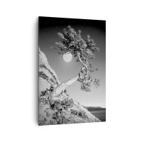 70x100 cm | Függőleges