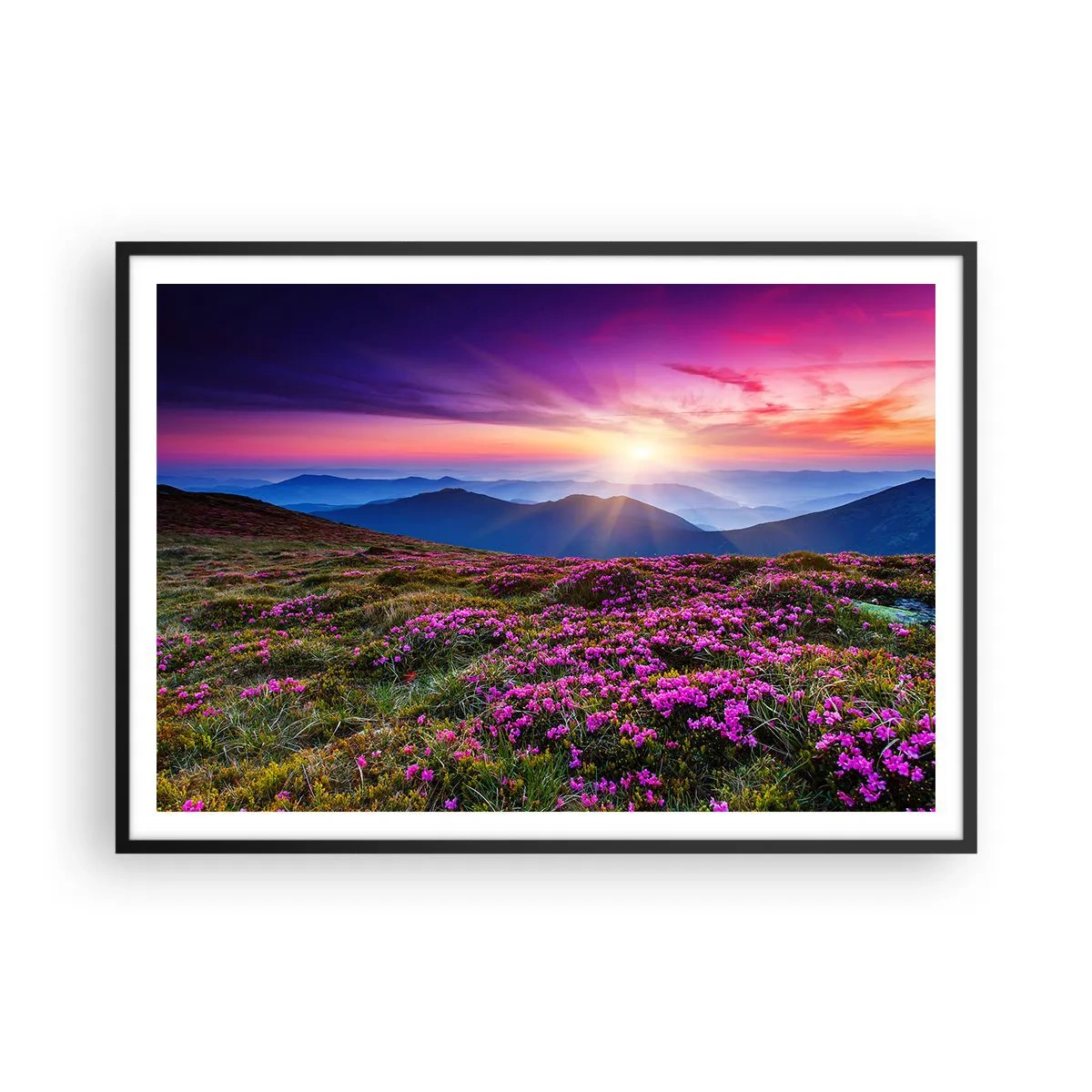 Poszter fehér keretben - A gyógynövények friss fürtjei illatoztak a mezőkről - 100x70 cm