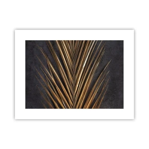 Poszter - A trópusok aranya - 40x30 cm